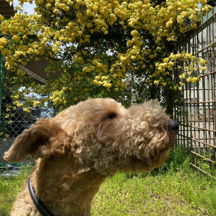 07464bc6 e8b4 44ac 9ea4 c6ddb1d0b02d 1619062078274