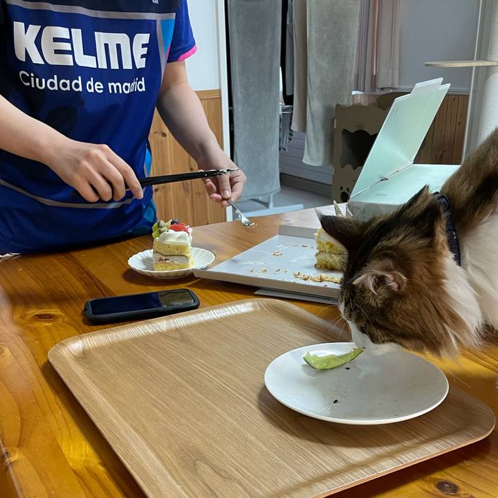 07464df3 f48e 409c 8fc2 bdbb98d55199 1662585018770