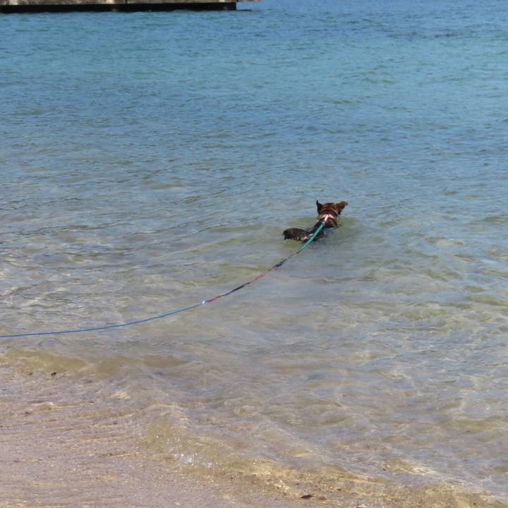 074662ba d672 436a a6bb 22b9bfac1caf 1557054221310