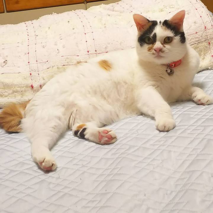 07473d3d 8b45 41ac baaf 115cc323e790 1533306980152