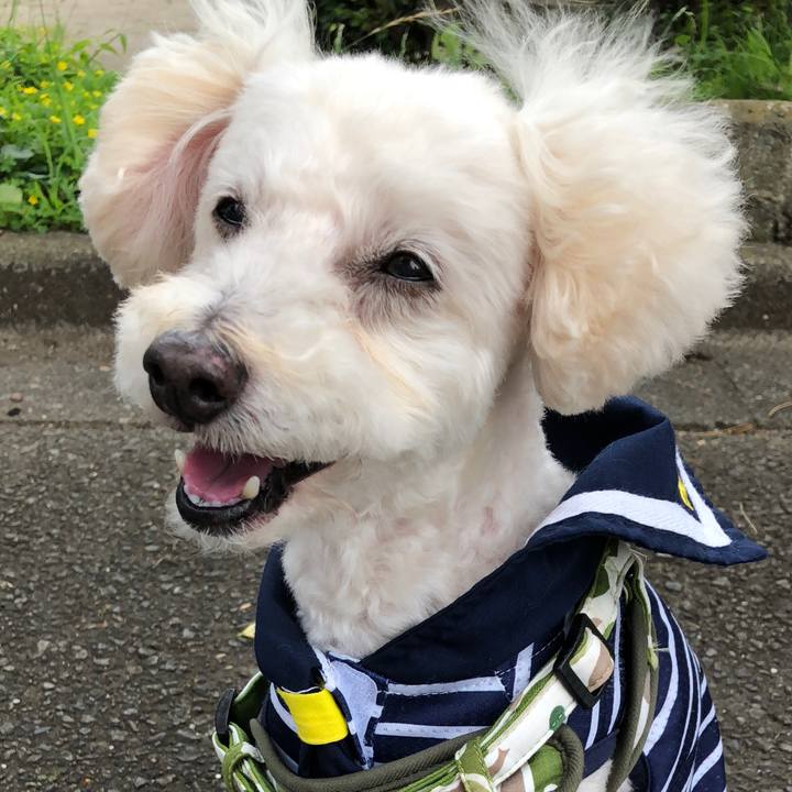 07474fbd bd92 4bd4 b0e5 a46cb2fba996 1530284844731