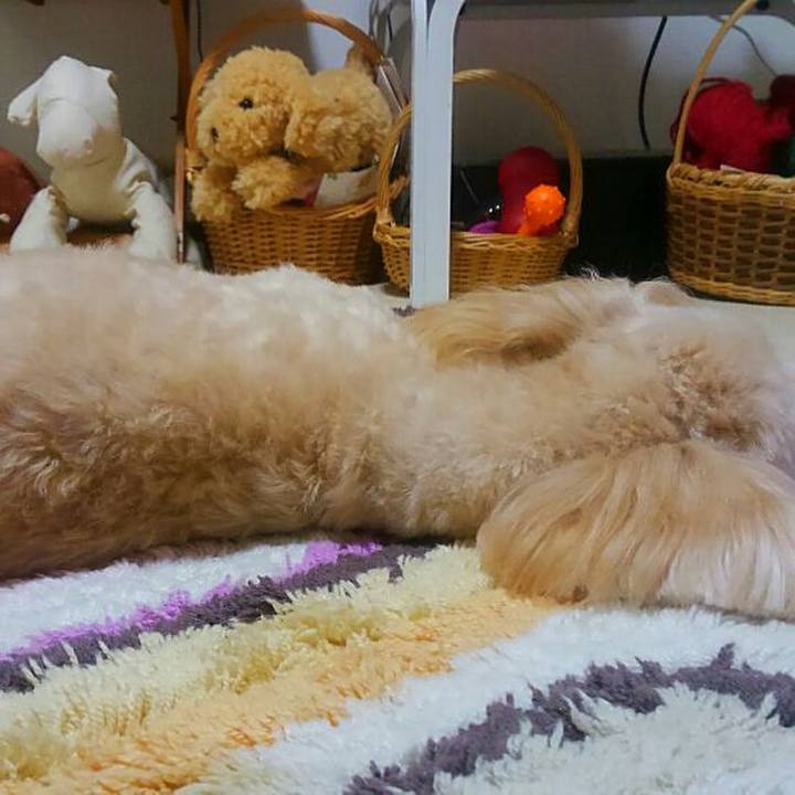 0747abef 3489 4529 a773 b0109e664db4 1568875413717