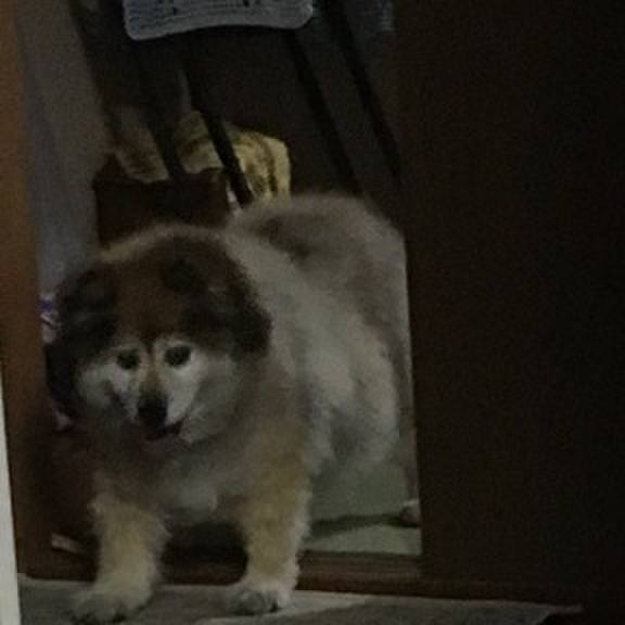 0747beb0 8cc5 4392 a058 771c8a07129e 1597794996036