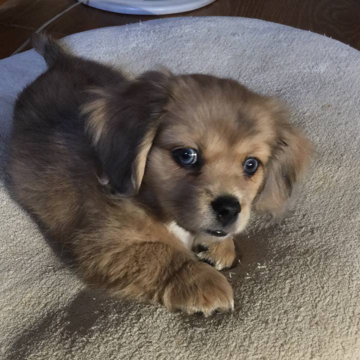 07482478 b4df 4451 8353 ae57fea9b06c 1539812015817