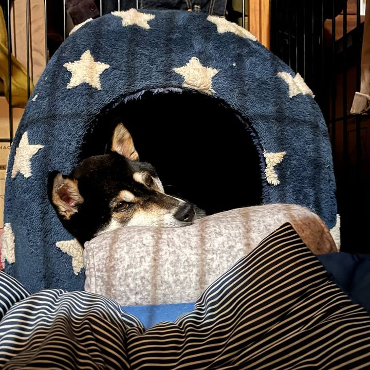 0748483f a2ae 4477 95e4 690ac214a1d8 1655037440209