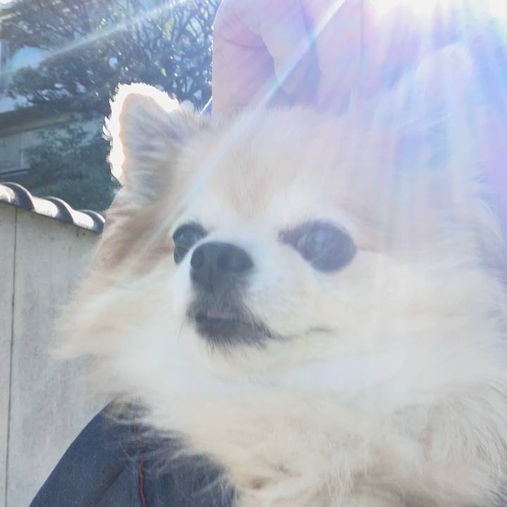 074914d4 fe2b 4a1d a18a 5d2bf4c07123 1760671175071