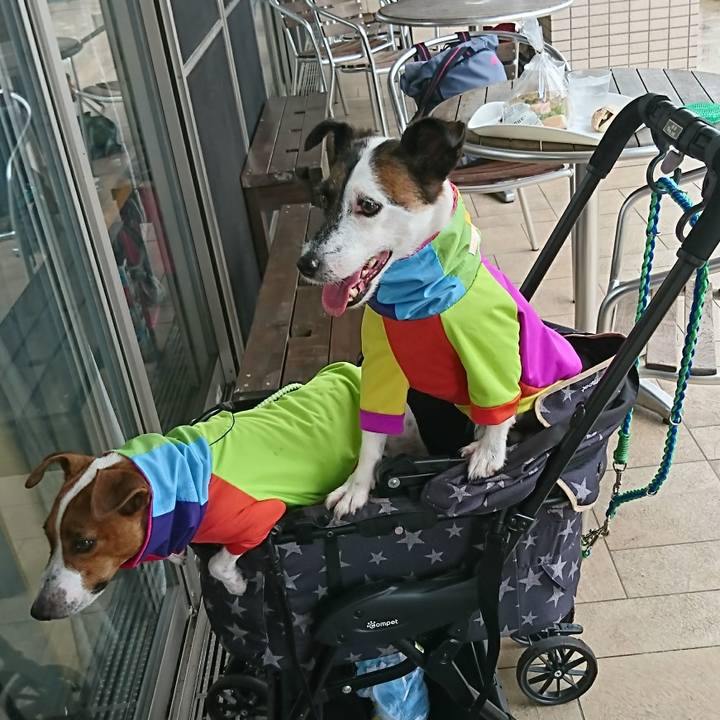 0749157a 1d5f 4c5d 84b7 876047fe289a 1599446787206