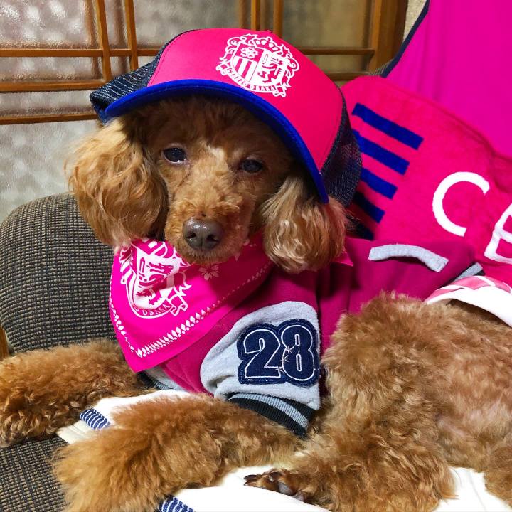 07492fd1 b06f 47bb bc15 ffe9f125b05d 1619934182359