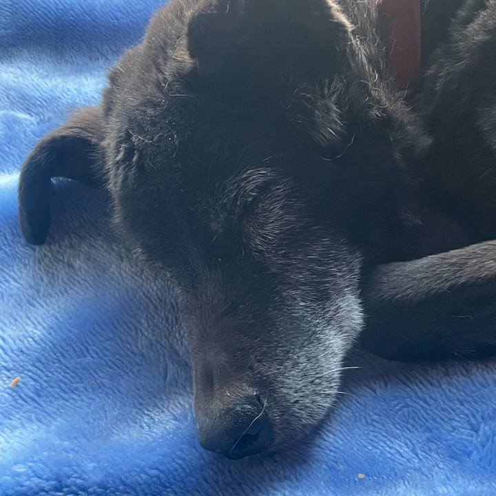 07493dce 6280 41b9 a77b 08f1c6c412c1 1774906669830