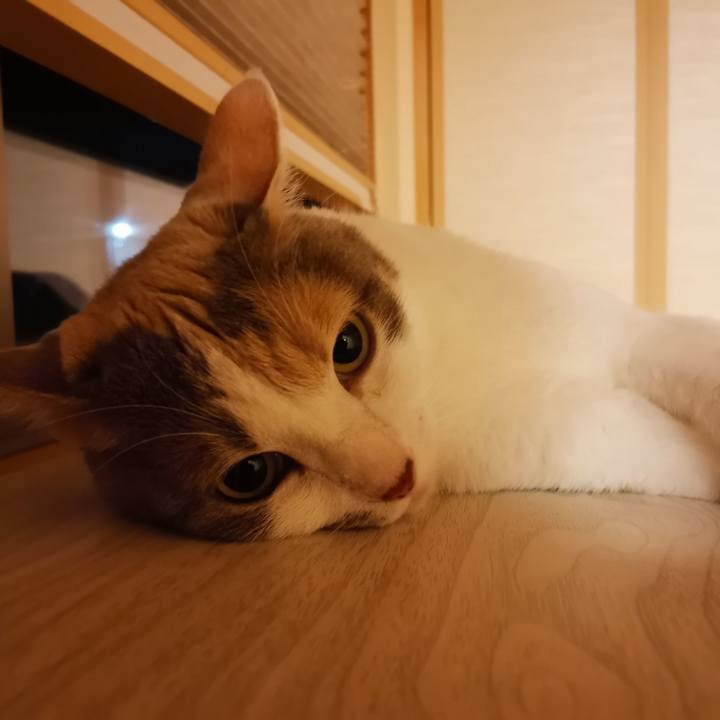 07495666 6f15 4cde 996d 039e37ea27e1 1599140612830