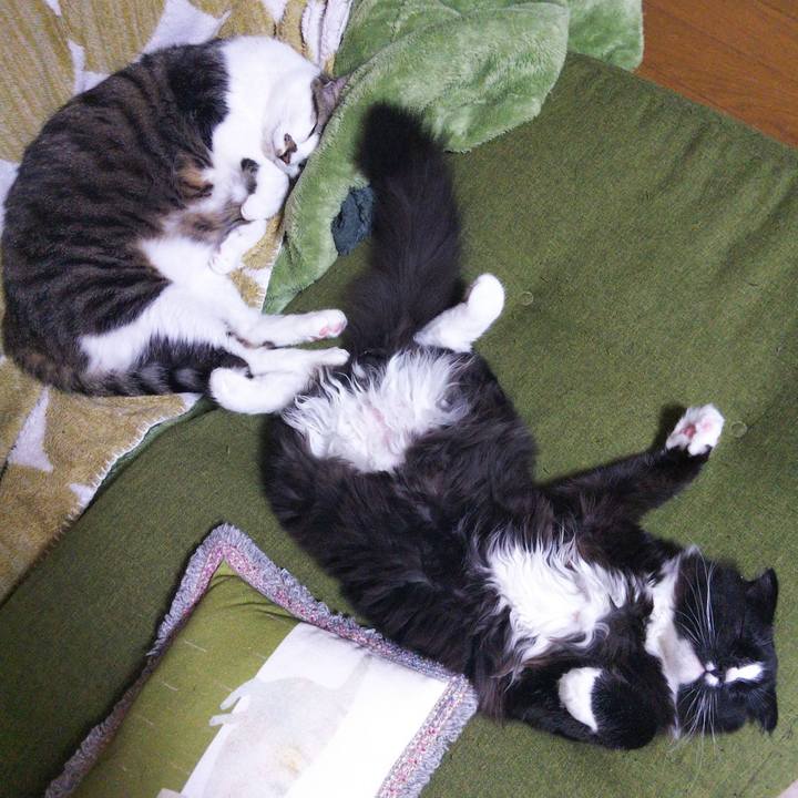 0749963d 2ab9 4f62 b0ef dd611c9ffffe 1647829575081