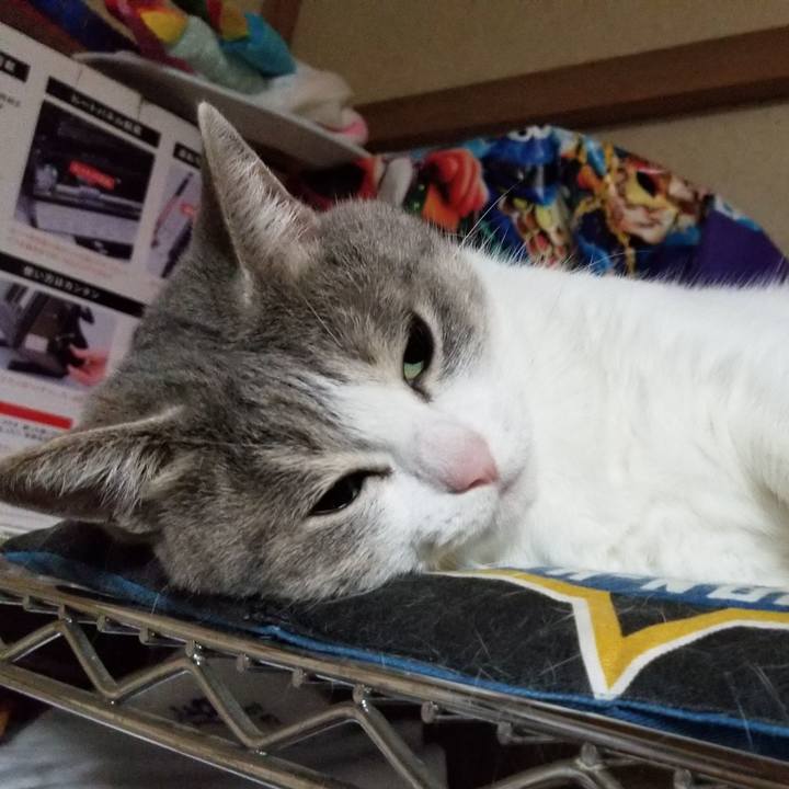 0749ad8b 8250 448b 9bf2 3cbf8dc5adba 1594469075834