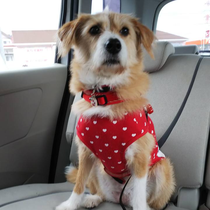 0749c1ea 19ac 49d4 9072 4dac2df0d2e4 1549676921235