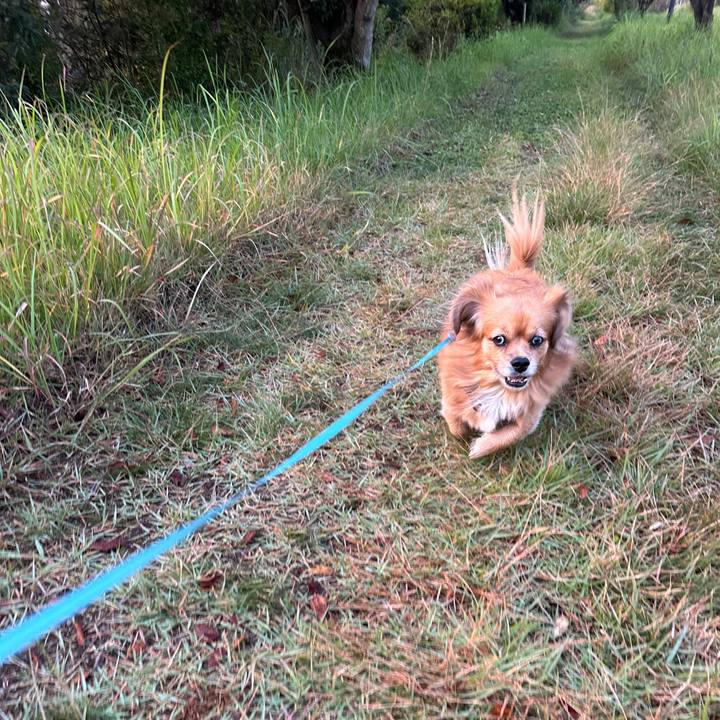 074a2c08 f4e3 4f58 a409 cd4a9d72cbca 1699049539257