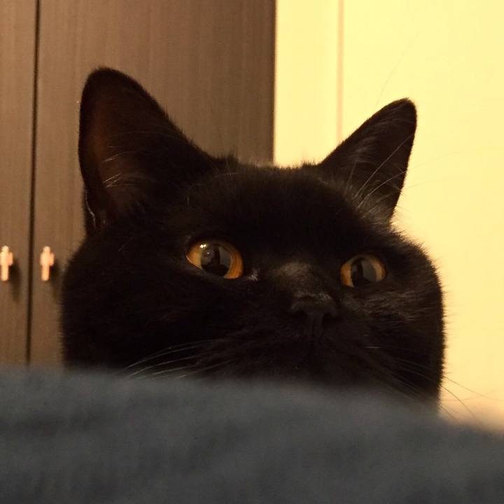 074a40ab 2a66 4e64 b41d 6952393aace8 1552136615572