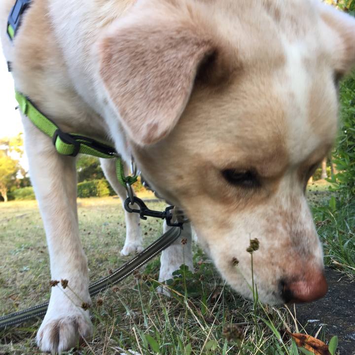 074b195d c626 4e1a 84c3 6b83a34bed77 1523092757044