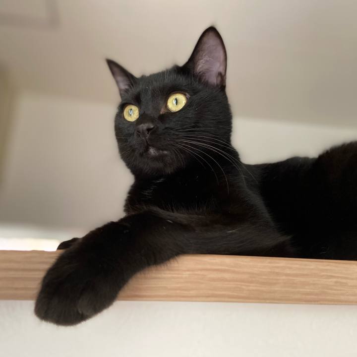 074b503f 9bea 4443 a11e 50003d987bfe 1624184547017