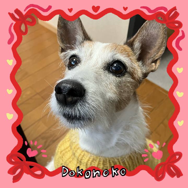 074b635b 120f 4a05 93b4 beed3cc7ccc7 1707261379934