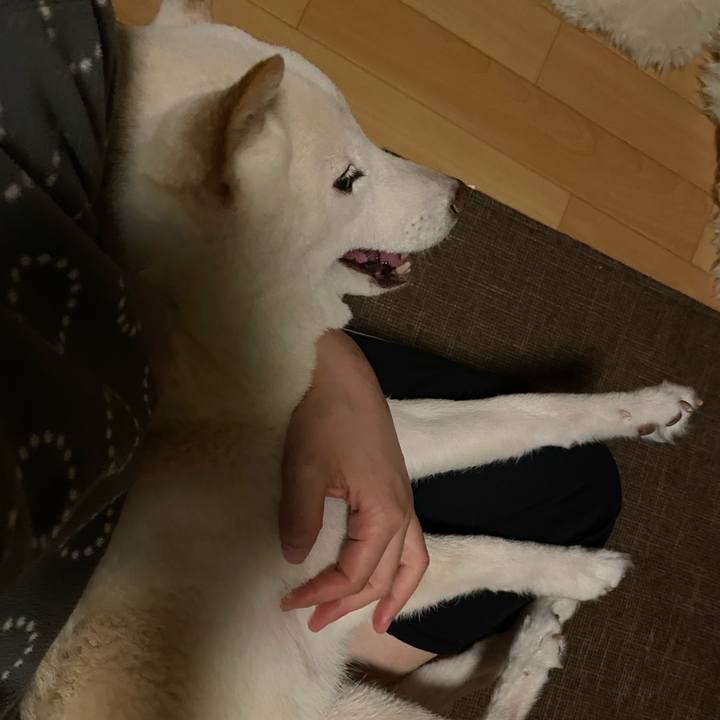 074b6497 45c0 474b a57c 2880c7b5e5e5 1668102840110