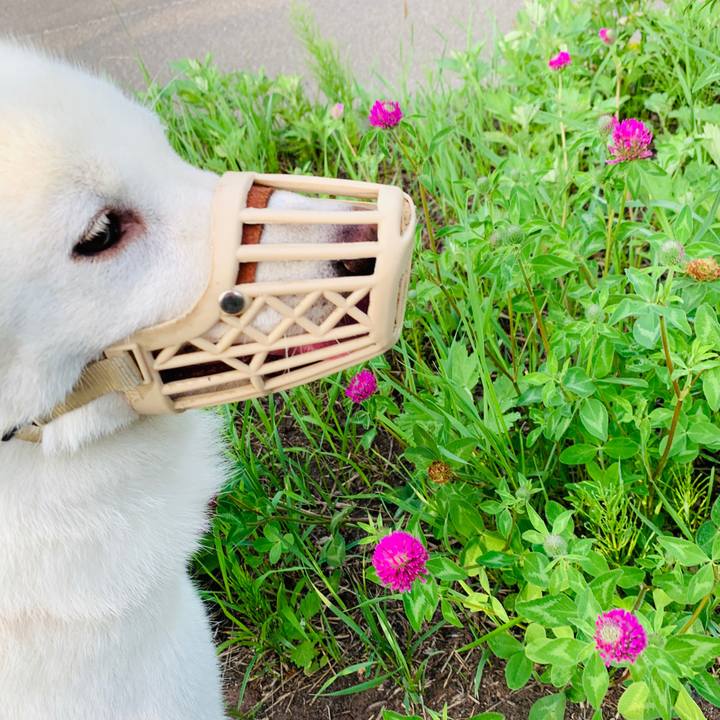 074bb448 214a 466f 8000 6cd5ec4c9f61 1564868205223