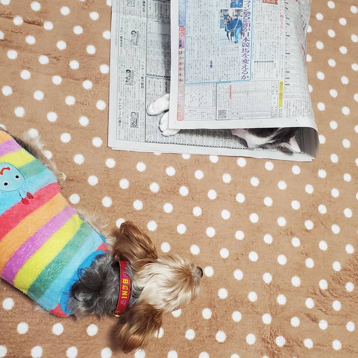 074bb809 a2a1 42df bf8d 7bf1bc359e78 1608441443068