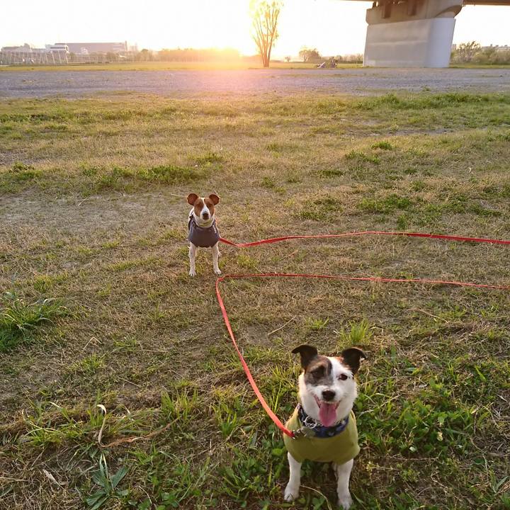 074bd173 b6f6 4e9f 9de6 f74d2b0b4925 1586255054115