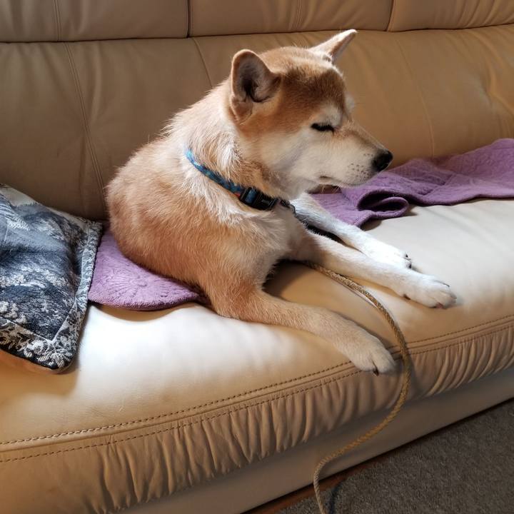 074c2a1a f129 49a1 ae49 d63c3dbeaa60 1564116550505