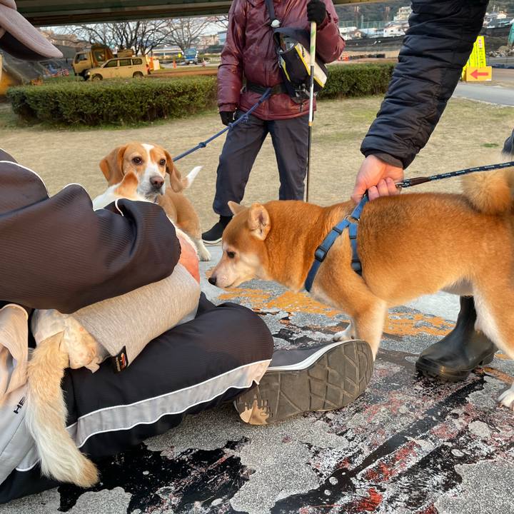 074c2de9 4d3a 44f1 a26b 2f0d23dbda3a 1674123955150