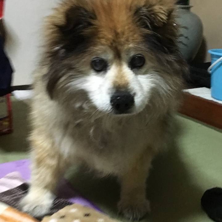 074c35bb 44a3 4f77 b55c b6ee487917a0 1608810768136