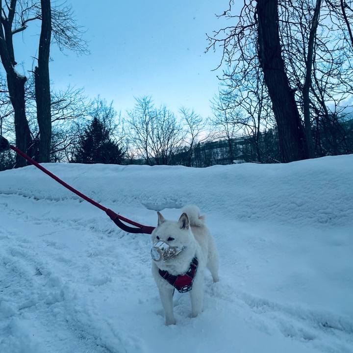 074c476e 4f3a 44de 85c7 c0e8b756a143 1771887347761