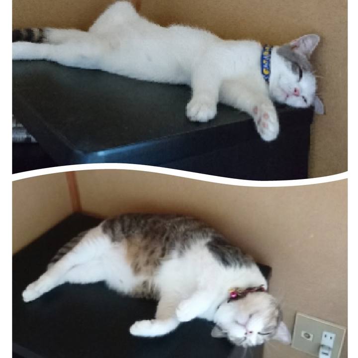 074c7b81 4a6f 462d 84ca 078f82930dd8 1604222311522