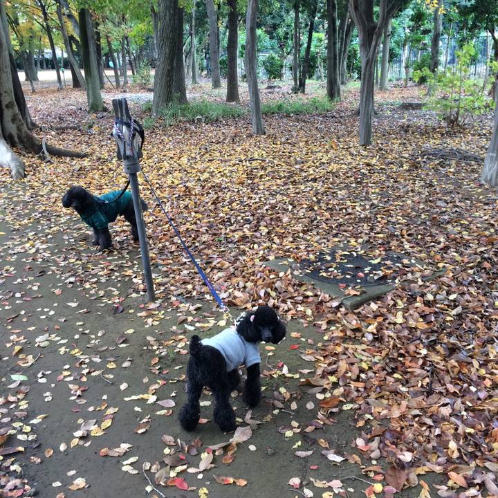 074c9927 aaec 46b8 b26c 466a4845c8e9 1543484693269