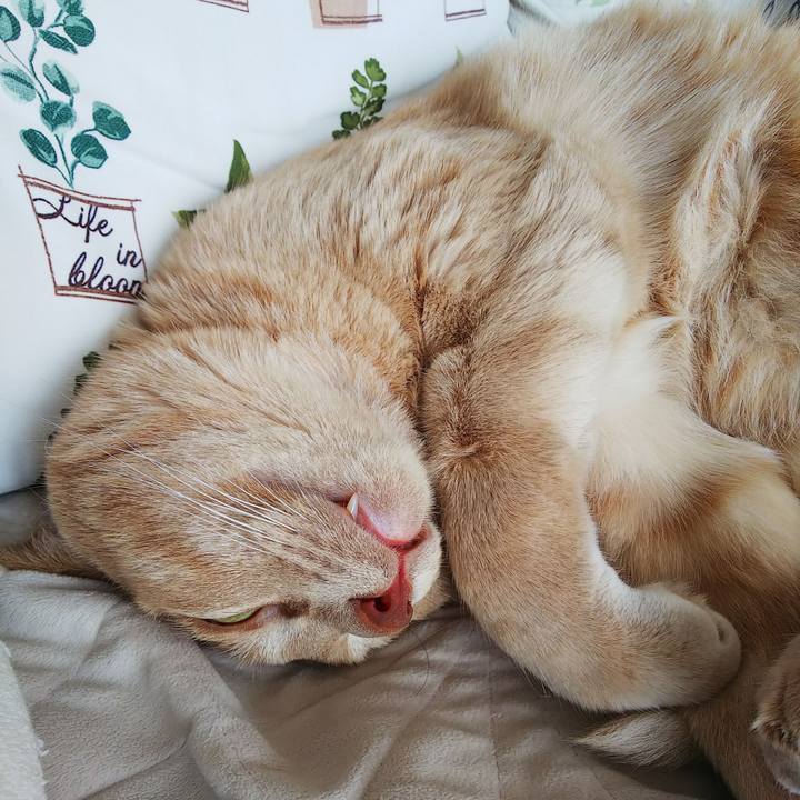 074ca1f6 6e07 4b30 b3a5 345931873563 1657752773305