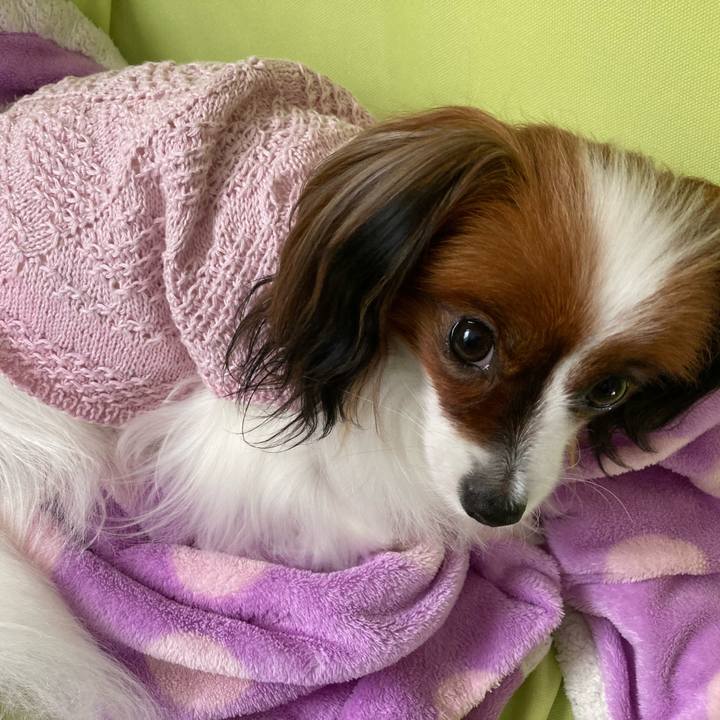 074ca211 11bd 4628 a53d cbb668816f7b 1634173757861