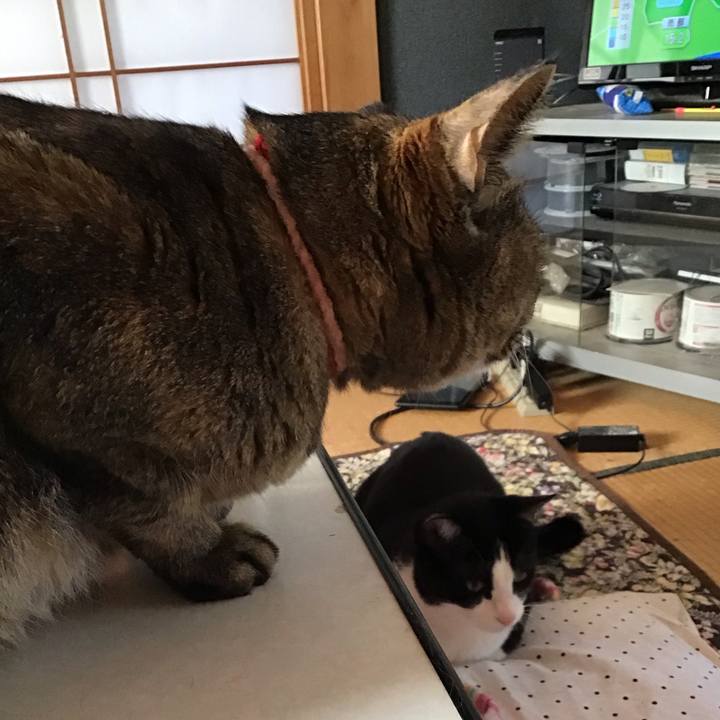 074cd530 1580 4ce5 b1c4 11215e1af7fe 1683008382165