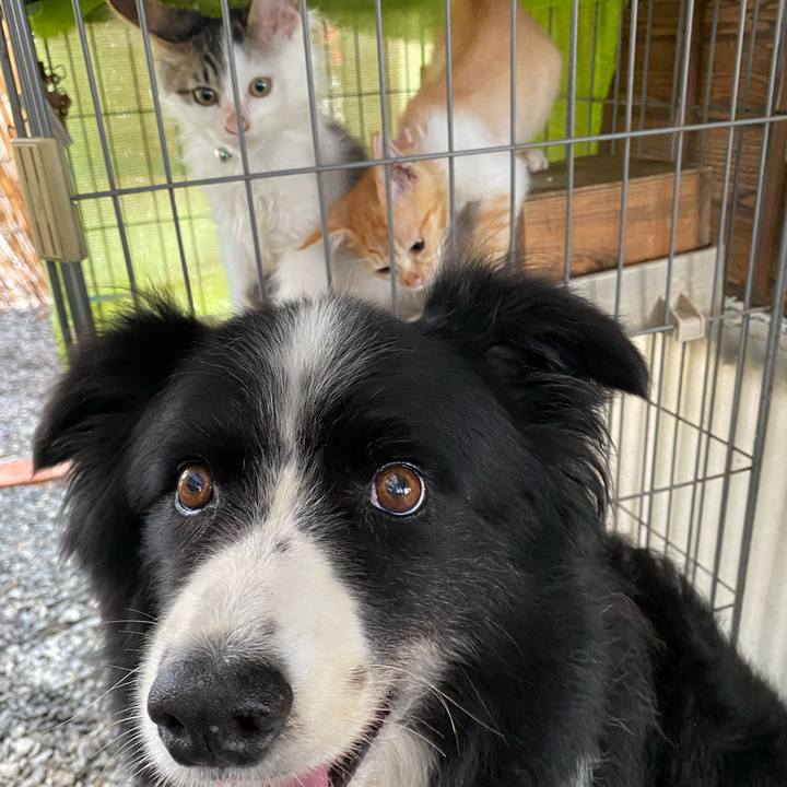 074cebae 9747 4922 9ee7 e34fd44978d0 1631060716045