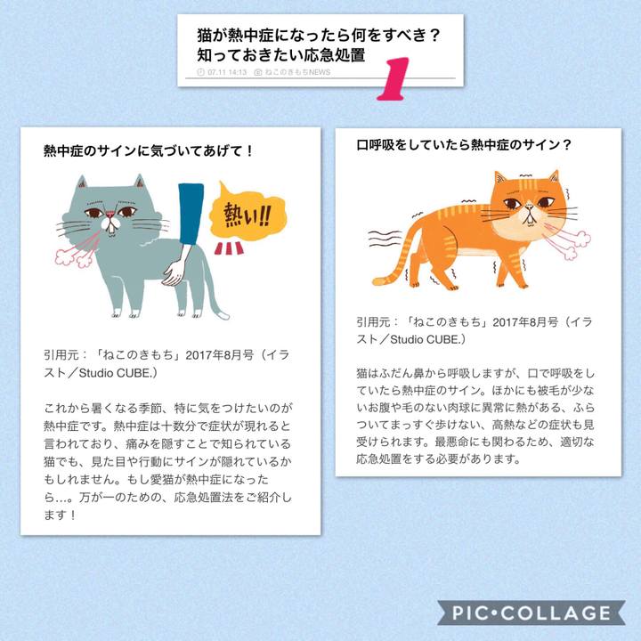 074cedd5 ebeb 48a0 8a73 6de7d3ea8e6a 1531854654669