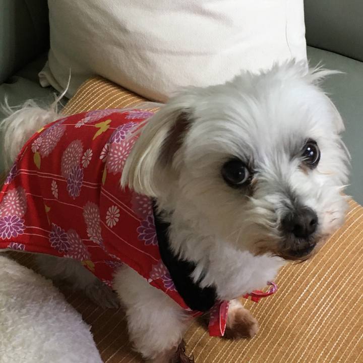 074d35f4 895b 4ce7 b86b 8dae3fbb945b 1641882479005