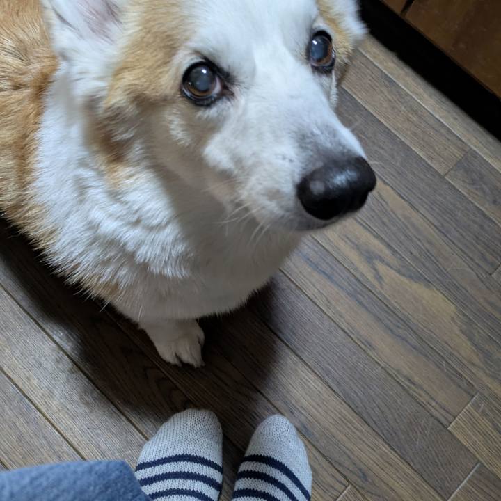 074d5c1e e995 437e 804a 1ab3a8e7f71b 1767668586106