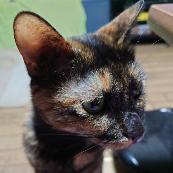 074e1d2b 2e0f 4893 9764 e0c7b8fd71d7 1722816681326