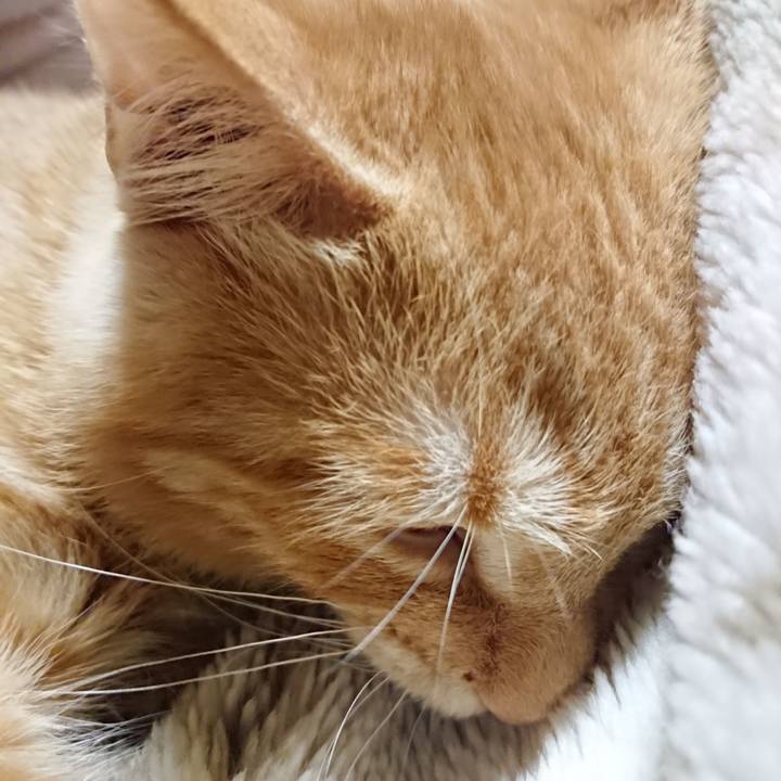 074e2cae 16f1 48ee 9513 9720425a3d73 1634474492793