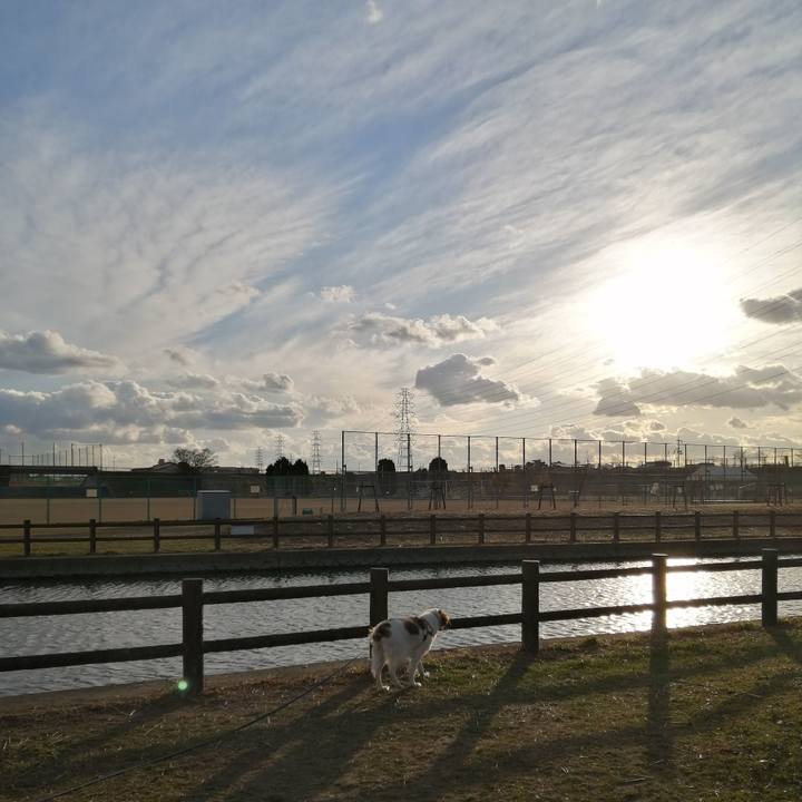 074eda1f 1595 40a7 9ec3 ab873101e6d4 1609923699561