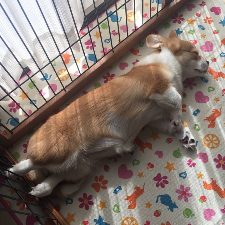 074f209e 1acc 485f a188 70d7fe74f33f 1560688859597