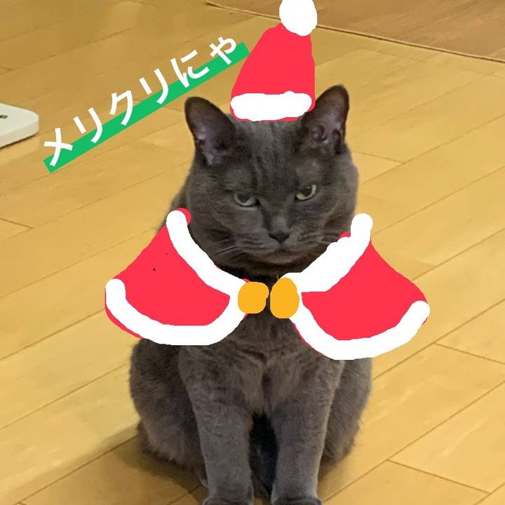 074f776e eb73 45f1 b102 9eb4f53b4035 1703416109425