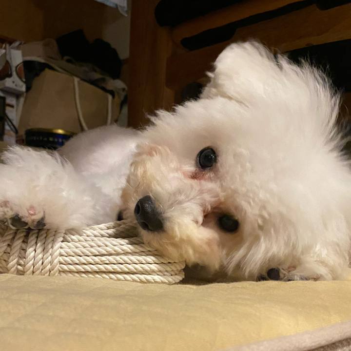 074fb830 7597 40d3 85fb 7f4199cd538f 1749126309356