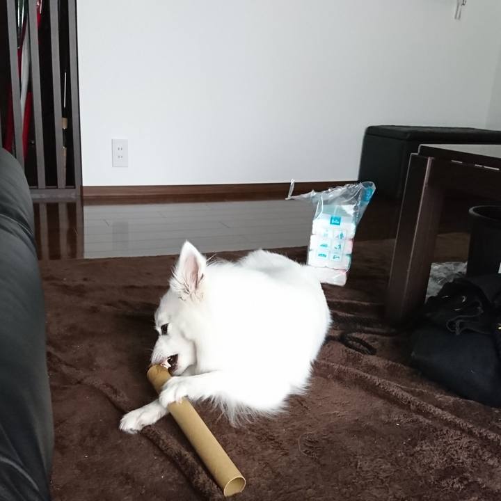 074fcb8f a4e4 4d1a bb16 72a2918aee10 1529376258177