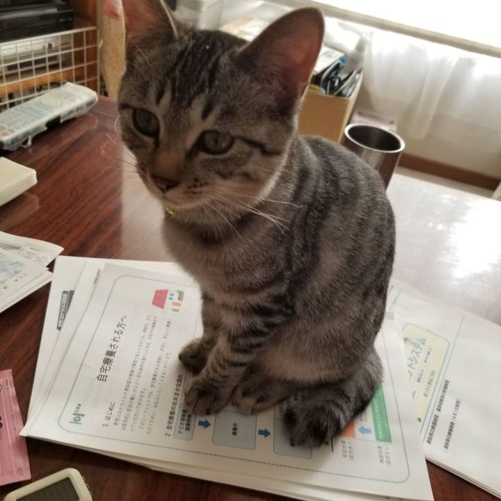 074fd9b3 8d3e 4f85 b118 01bffbfb0c6d 1668523222330