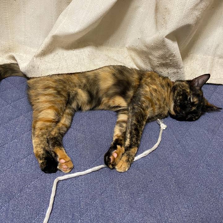 074febad f18a 4b39 89ba 64e8fa7cb6c8 1627726496925