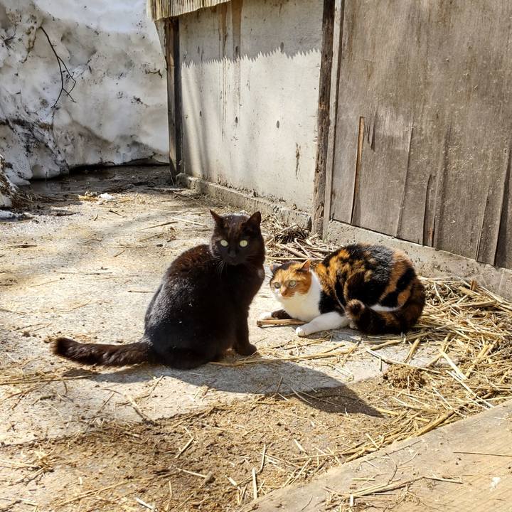 07500dfc 960c 4b58 a8c1 dcffa3b536ef 1616125538726