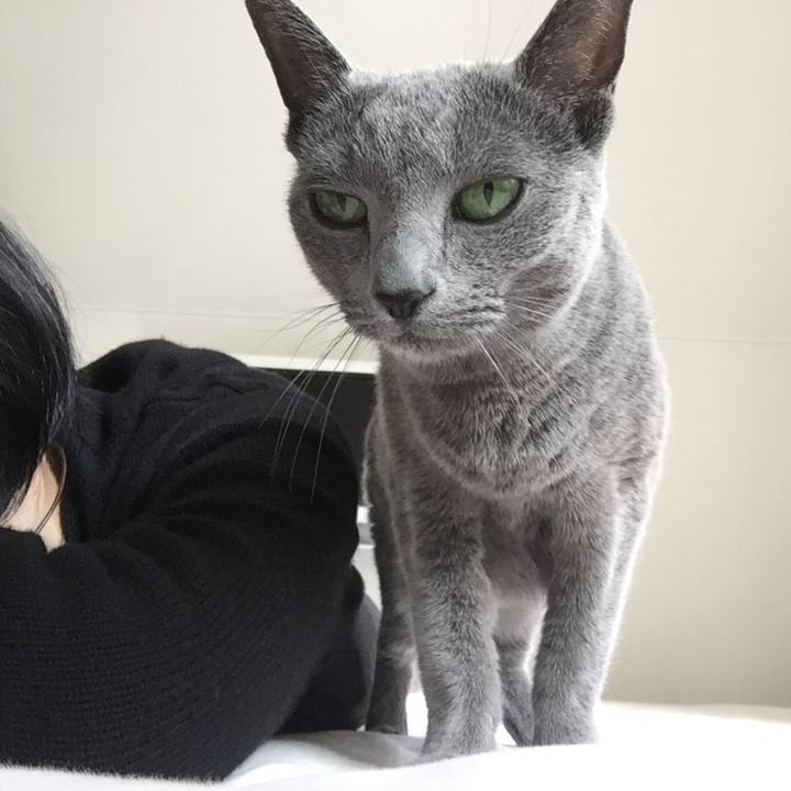 07502692 dddd 407b a6f3 b070d52cc215 1544398706797